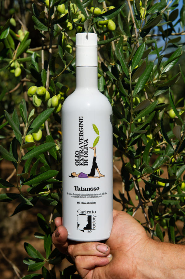 TATANOSO OLIO EXTRA VERGINE DI OLIVA