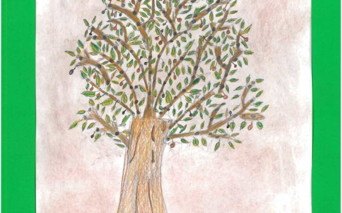 Albero di Olivo