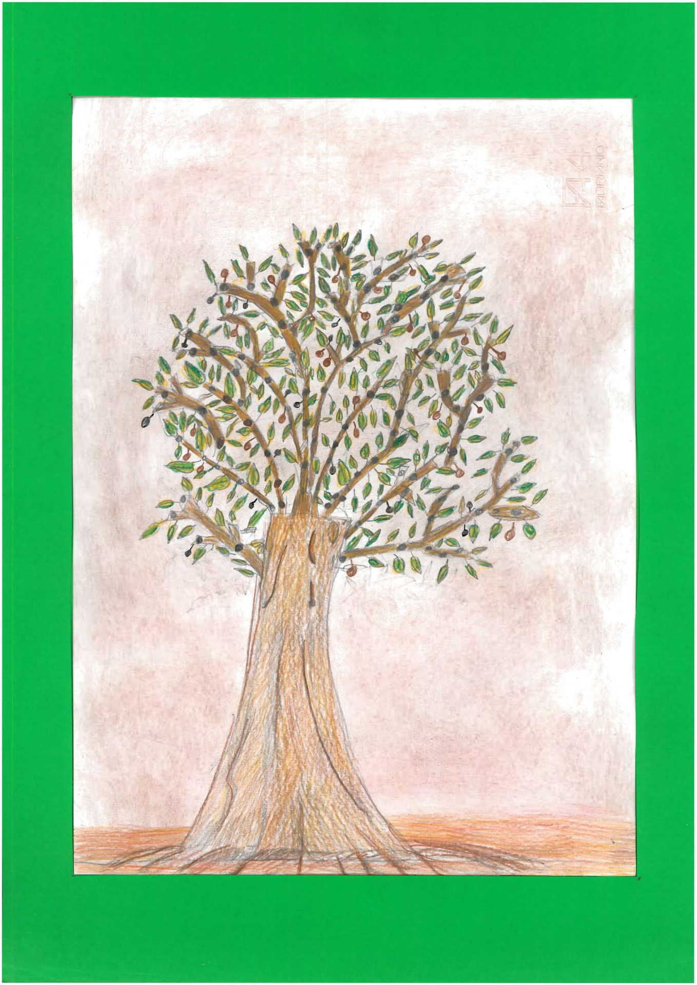 Albero di Olivo